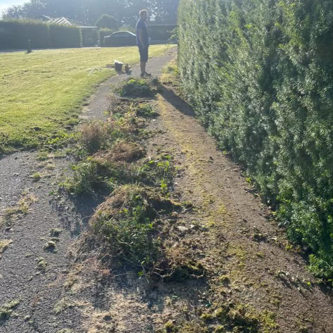 Garden2